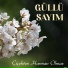 Güllü Sayım