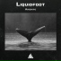 Liquidfoot