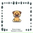 Pet Relax Academy