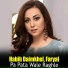 Habib Daimkhel, Faryal
