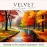 Velvet Sunrise Tune