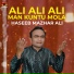 Haseeb Mazhar Ali
