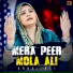 Arooj Ali