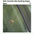 Rain Sounds Nature Collection