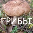 Валерий Филимонов