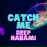 Deep Harami