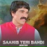 Akram Faridi