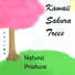 Kawaii Sakura Trees