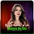 Wazir Afridi