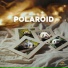 Panda Lofi, Panda Chill, Panda Music