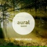 Aural Space