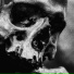 bxsten, DXNT L13