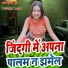 Guddu Raina