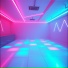 Electronic Evolution