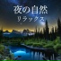 田舎の夜