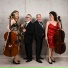 Solina Cello-Ensemble