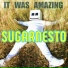 Sugarnesto