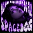 SPACEDØG