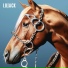 Lojack