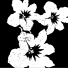 apophenia