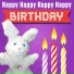 Hoppa the Happy Bunny