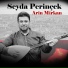 Seyda Perinçek