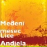 Medeni mesec