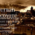 Urban Coyote feat. Clay Stulz, Dave German