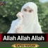 SAFIA HASAN