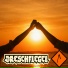 DRESCHFLEGEL