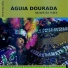 Maracatu Águia Dourada