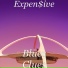Expen$ive
