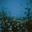 no mind state, Kerosene