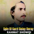 Rahmat Showqi