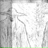 Fortxna