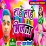 AH Movies Bhakkar