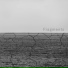 Francois Esch