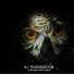 Dj Technodoctor