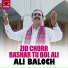 Ali Baloch