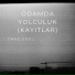 Emre Erol