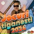 Nicusor Guta