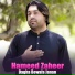 Hameed Zaheer