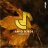 David Surok