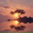 SXGN