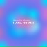 Hamelin Momoi