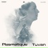 Plasmatique