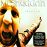 Meshuggah