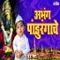 Shubhangi Jhoshi, Mahesh Hiremath