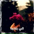 Fahed Sayed