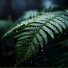 cleanmindsounds